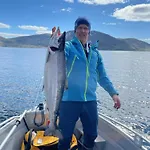 بيت للعطل Efjord And Stetind - Stetind Ballangen
