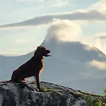 بيت للعطل Efjord And Stetind - Stetind Ballangen