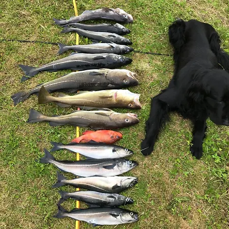 Nyaraló Efjord And Stetind - Stetind