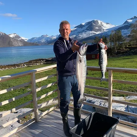 Efjord And Stetind - Stetind