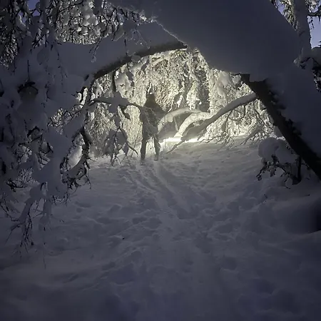 Nyaraló Efjord And Stetind - Stetind *