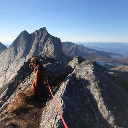 Efjord And Stetind - Stetind