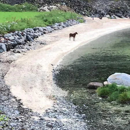 Nyaraló Efjord And Stetind - Stetind *