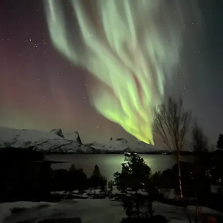 Efjord And Stetind - Stetind Holiday home *