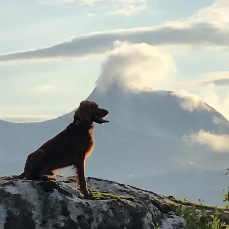 Nyaraló Efjord And Stetind - Stetind Ballangen