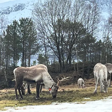 Efjord And Stetind - Stetind Nyaraló *