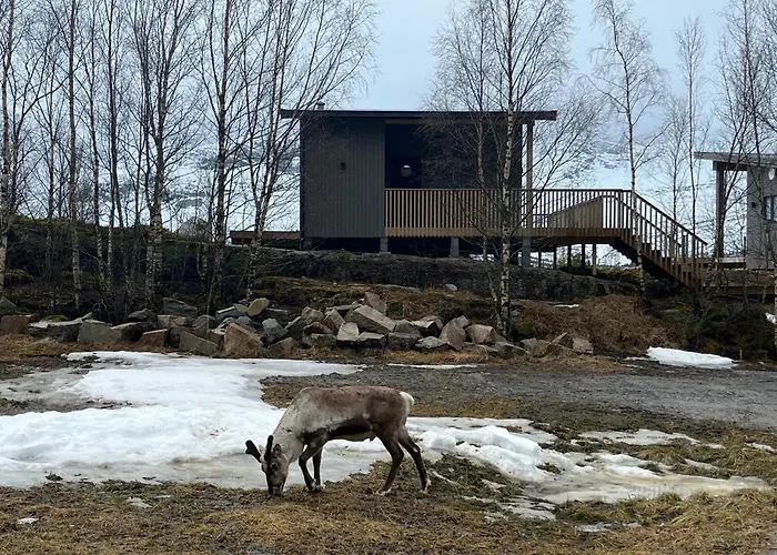 Efjord And Stetind - Stetind Ballangen