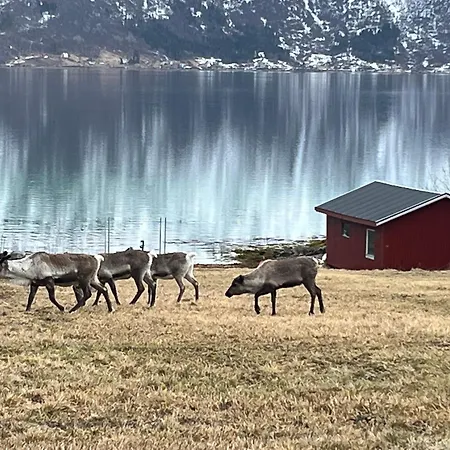 Tatil Evi Efjord And Stetind - Stetind *